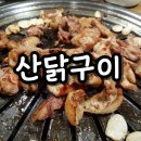 당동솔밭가든 | 전남 구례 맛집 산닭구이 '당동솔밭가든' 만족스런 솔직후기