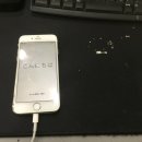 여주-0022 이미지