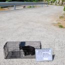 통영동물병원 이미지