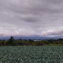 영포농장 이미지