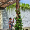 온수할인마트 | 베트남 다낭 퓨전 리조트 숙소 할인 예약 호캉스 마사지 솔직 후기