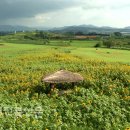 공음농장 이미지