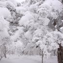 하얀나라 깨끗한세상 이미지