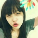 자름 Daum카페