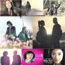 피노키오2 이미지