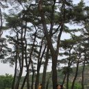 안동(부산) 이미지