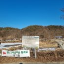 2월 겨울 가볼만한 곳 : 원주 섬강 자작나무숲, 카페 이야기담