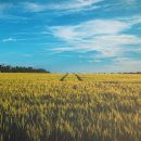 장당초등학교 이미지