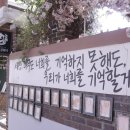 부디 개선되기를 바라며 청주 고양이카페 애니멀 공화국 다녀온 후기