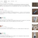 이지방역 | 바퀴벌레 스트레스 해방! 전문가용 맥스포스 셀렉트 이지겔 찐후기 (전기주전자 후기)