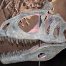 모노로포사우루스 | 크리욜로포사우루스 엘리오티(Cryolophosaurus ellioti)