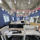 에이스합동공인중개사사무소 이미지