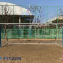 옥빛초등학교 티스토리