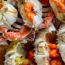 프레시아 이미지