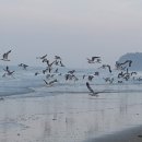 무진 펜션 이미지