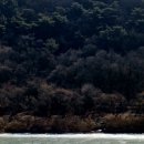 영춘우체국 이미지