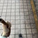 [운동 후기] 비 오는 날 코알라 클라이밍 킨텍스점 혼클후기