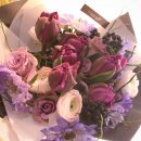 Flower늘봄 이미지