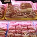 돼지33 연합뉴스