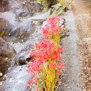 노송황토민박 이미지