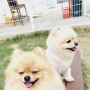 호텔 델루멍 이미지