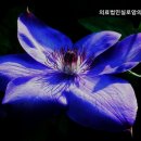 의료법인 실로암 의료재단 이미지