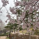 설산한의원 이미지