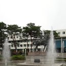 열림행정사사무소 네이버블로그