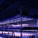 수정동농장 이미지