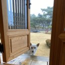 풍송재 이미지