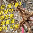 [고삼, 너삼] 도둑놈 지팡이? 맛이 매우 쓴 산삼(山蔘) 위장약. 화장품 원료로 엄청 사용. 이미지