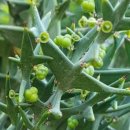 더존 PC 카페 이미지