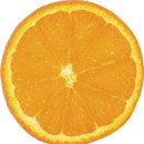 오렌지 이미지