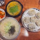 시장추어탕 | 광명시장맛집 효자냉면에서 든든한 점심 광명시장추어탕 칼국수 만두 후기