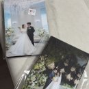 밸르 | W7. 대전 본식 스냅 / 라벨르스냅 본식 촬영 후기