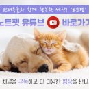 예송동물병원 이미지