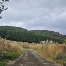 구좌공설묘지 이미지