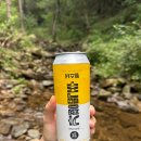 잣나무 | 가평 여름 캠핑 경험기 | 호명산잣나무캠핑장 1번 사이트 실제 후기