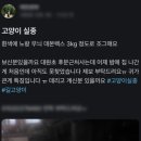 오산대원초등학교 이미지