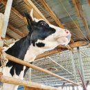 소번식경영아카데미 이미지