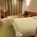 제주스테이 | 제주 서귀포 가성비 숙소 엠스테이 내돈내산 숙박 후기
