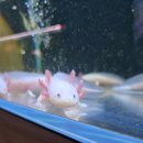 아이-정원 | 포천 아이데리고 가기 좋은 예술정원1999 내돈내산 후기