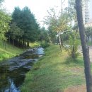 상동시민의강 이미지