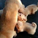 나무네농장 이미지