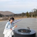 순례농장 | 제주 대형 카페 추천, 제주 빵지순례, 제주당ㅣ내돈내산 솔직후기