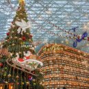 (주)미라클트리 이미지