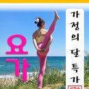 사나바른몸