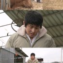 기안농장 이미지