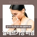 도안이비인후과 네이버블로그