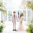 스튜디오다른세상